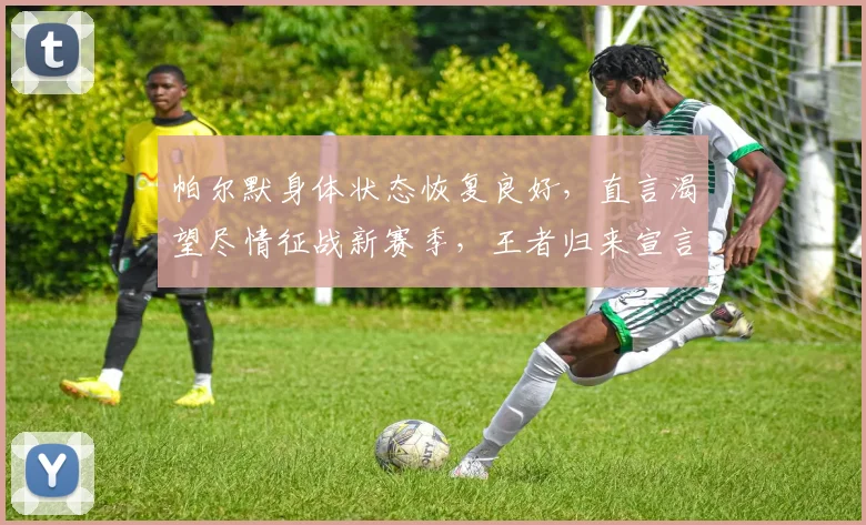 帕尔默身体状态恢复良好，直言渴望尽情征战新赛季，王者归来宣言引关注