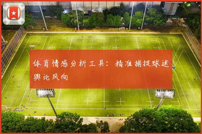 体育情感分析工具：精准捕捉球迷舆论风向