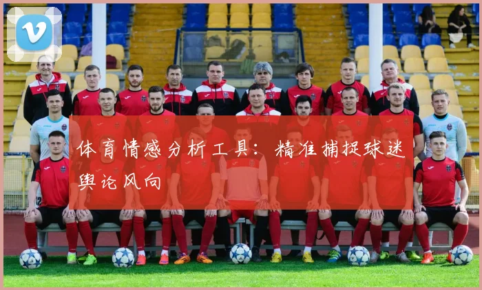 体育情感分析工具：精准捕捉球迷舆论风向